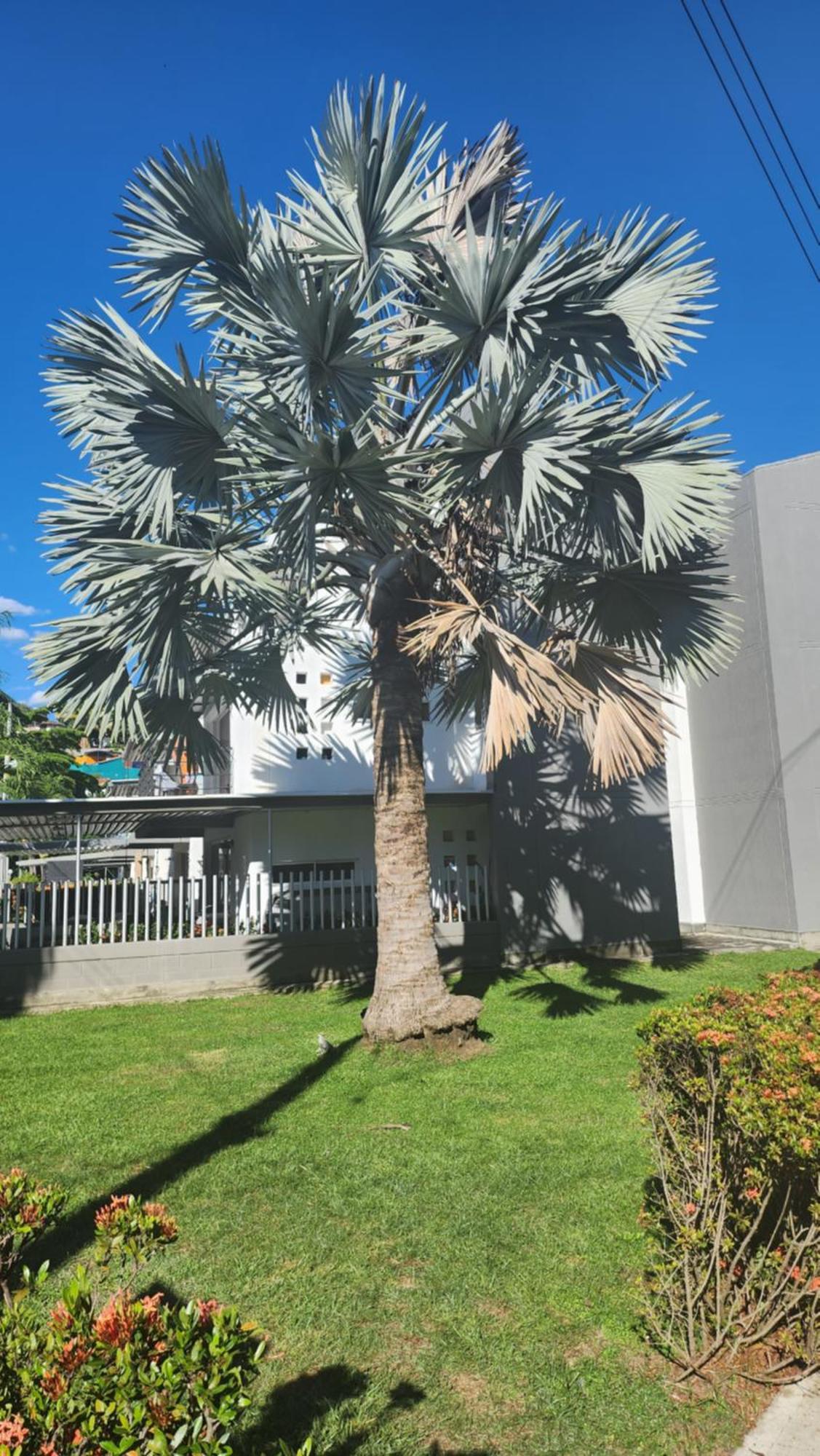 Apartasol Club Ciudadela Santa Fe - サンタ・フェ・デ・アンティオキア エクステリア 写真